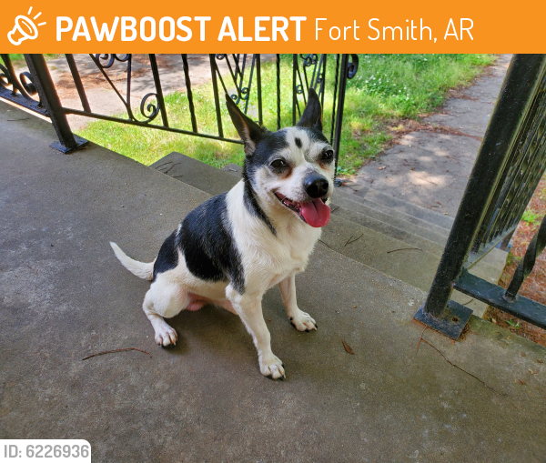 Found/Stray Male Dog last seen Between 22nd & 23rd, Fort Smith, AR 72901