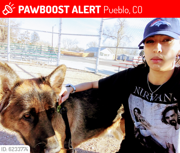 Lost Male Dog last seen South prairie, Pueblo, CO 81003