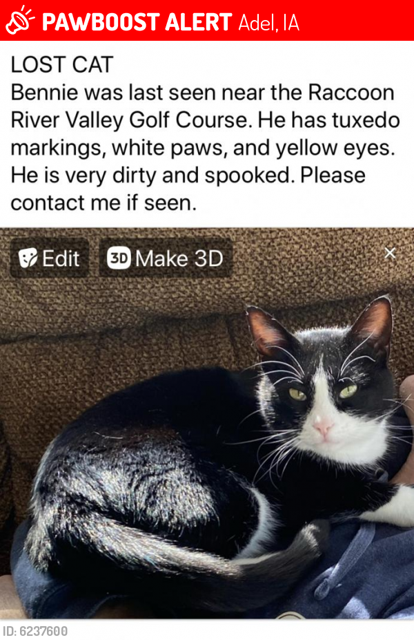 Lost Male Cat last seen Adel, Iowa River Valley Golf Course , Adel, IA 50003