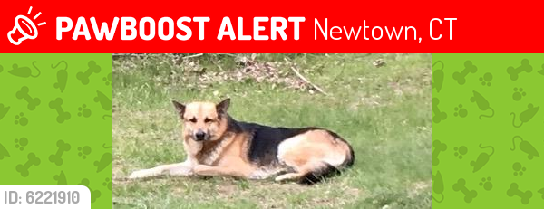 Deceased Male Dog last seen Near Berkshire Rd, Newtown, CT 06482