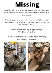 Reunited Female Cat last seen Clarendon Road/Northernden Road, Greater Manchester, England M33 2DR