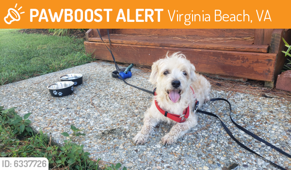 Found/Stray Male Dog last seen Near N Donnawood Ct, Virginia Beach, VA 23452