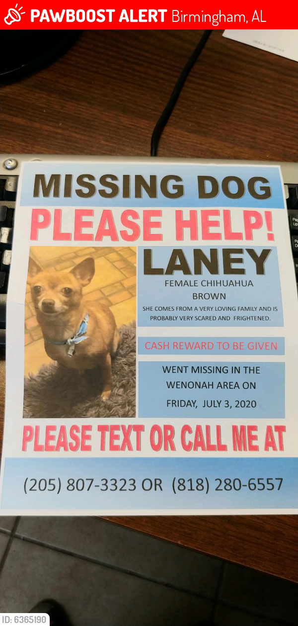 Lost Female Dog last seen Wilson Road SW, Birmingham, AL 35221