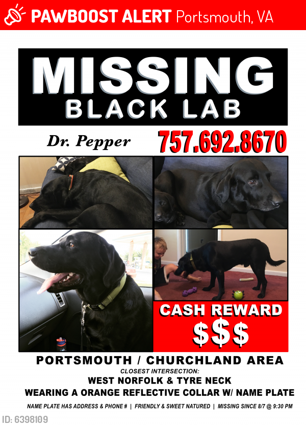 Deceased Male Dog last seen West Norfolk Road, Portsmouth, VA 23703