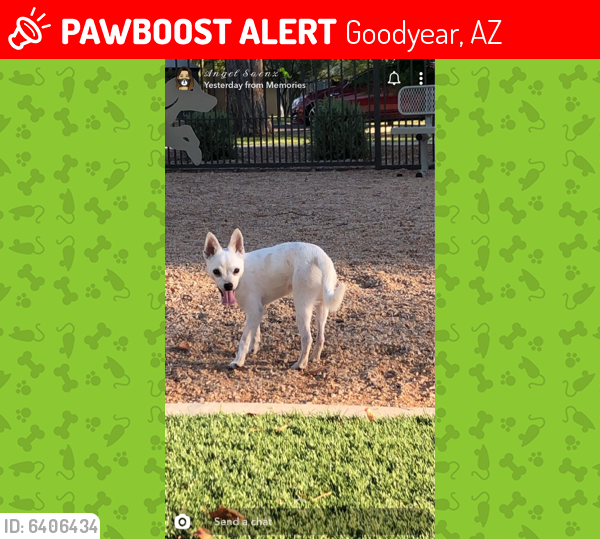 Lost Male Dog last seen Litchfield Rd & Van Buren , Goodyear, AZ 85338