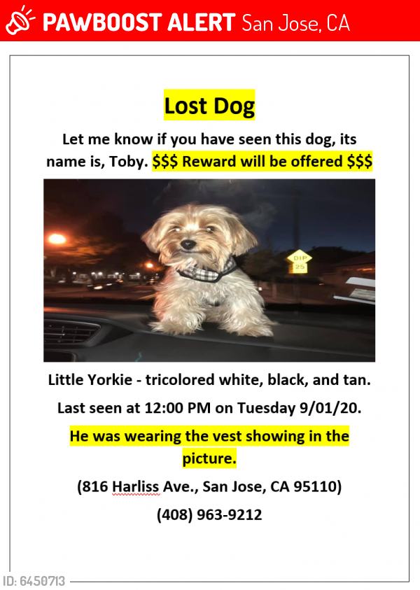 Lost Male Dog last seen Harliss Ave and Virginia ST, San Jose, CA 95110