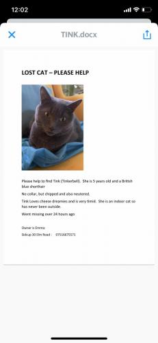 Lost Female Cat last seen Elm road Sidcup Da14 6ad , Greater London, England DA14 6AD