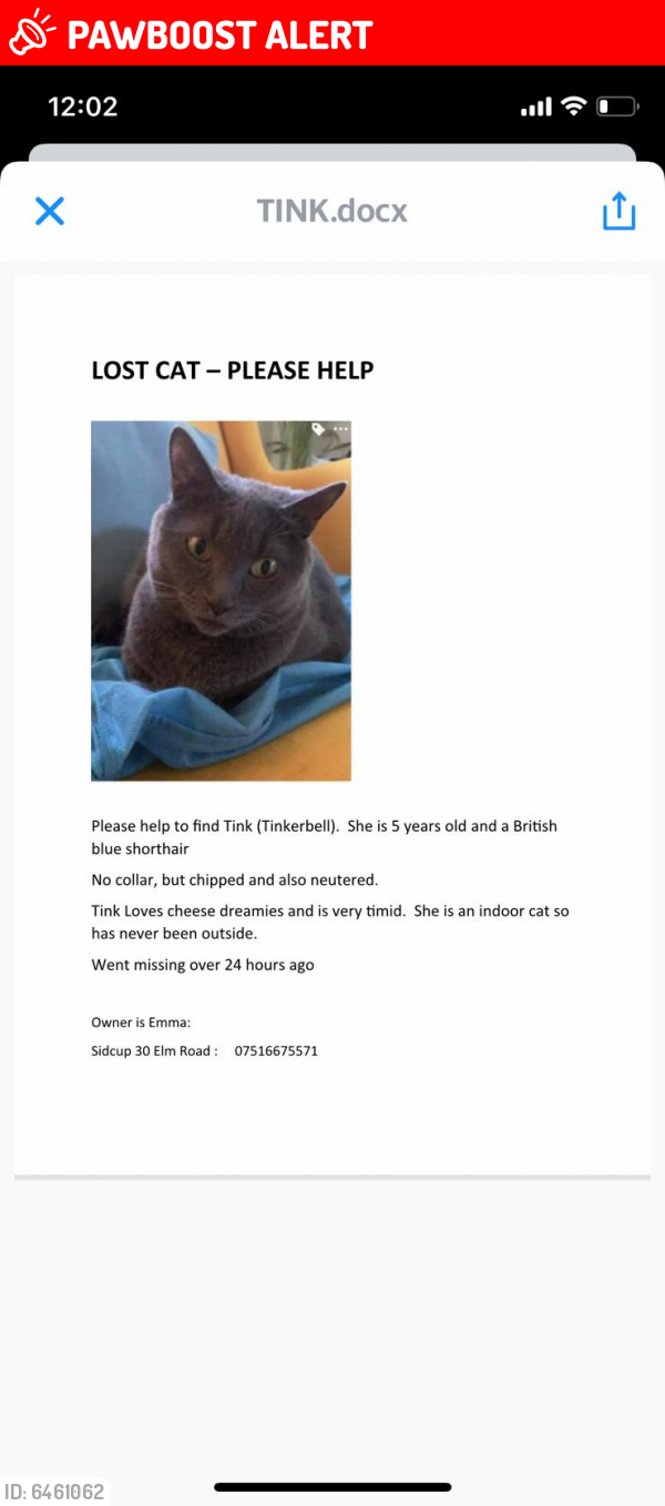 Lost Female Cat last seen Elm road Sidcup Da14 6ad, Greater London, England DA14 6AD