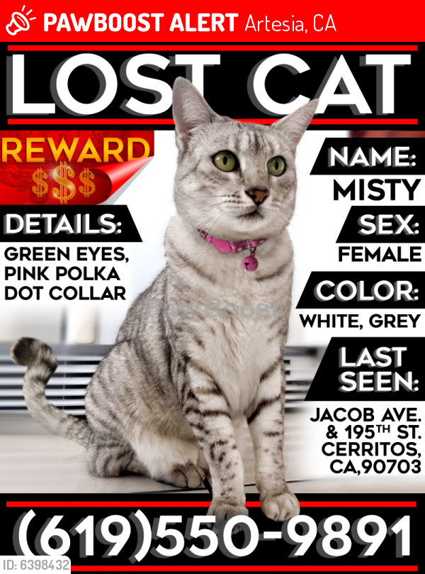 Lost Female Cat last seen Jacob Ave & 195th St., Artesia, CA 90703