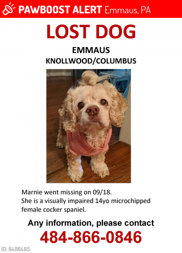 Deceased Female Dog last seen Columbus & South 5th streets, Emmaus, PA 18049