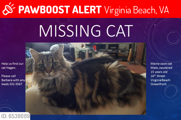 Lost Male Cat last seen Near 16th Street, Virginia Beach, VA 23451