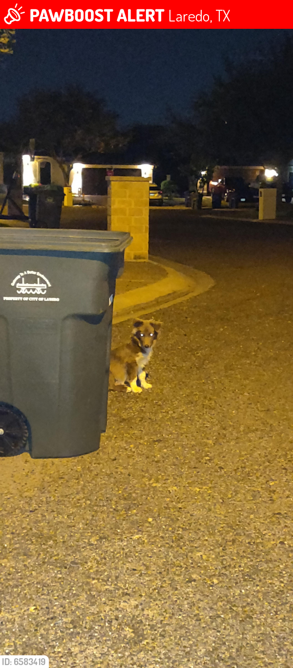 Lost Unknown Dog last seen International & Chiquis St, Laredo, TX 78045