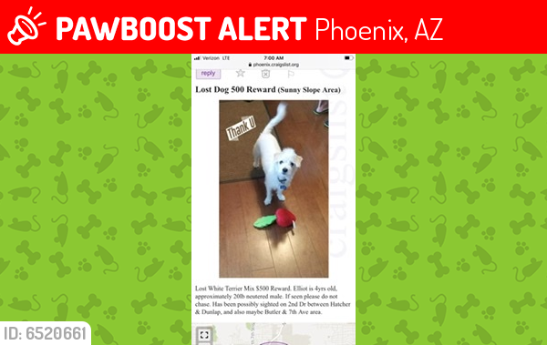 Lost Male Dog last seen By Sunnyslope High, Phoenix, AZ 85021