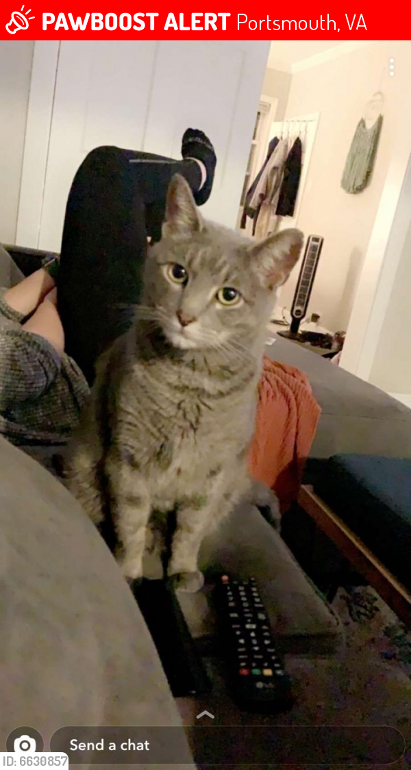 Lost Male Cat last seen Middle Street, Old Town, Portsmouth, VA 23523