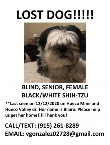 Lost Female Dog last seen Hueco Valley , and Hueco Mine, El Paso, TX 79938