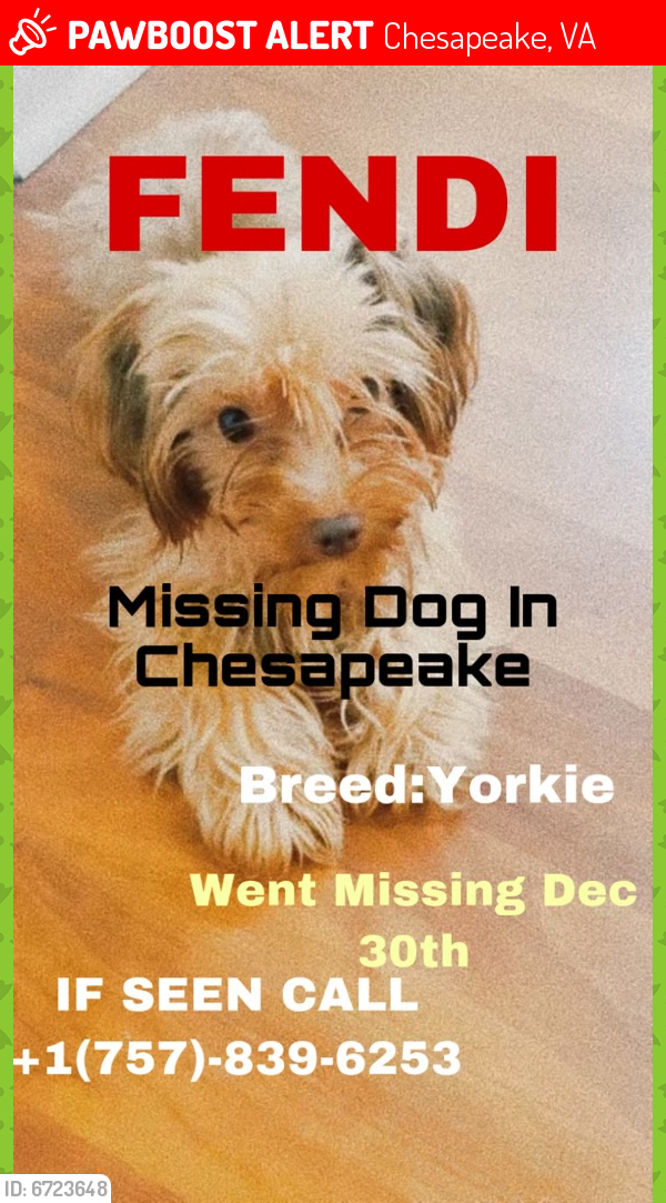 Lost Male Dog last seen Bainbridge Chesapeake va, Chesapeake, VA 23324