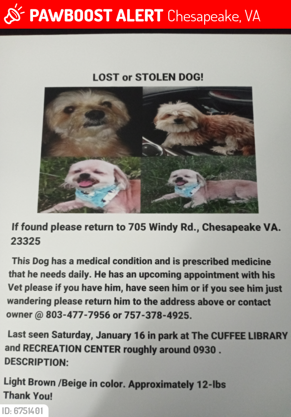 Lost Male Dog last seen Near Border Road, Chesapeake, VA @ the Cuffee Library and Recreation Center, Chesapeake, VA 23324