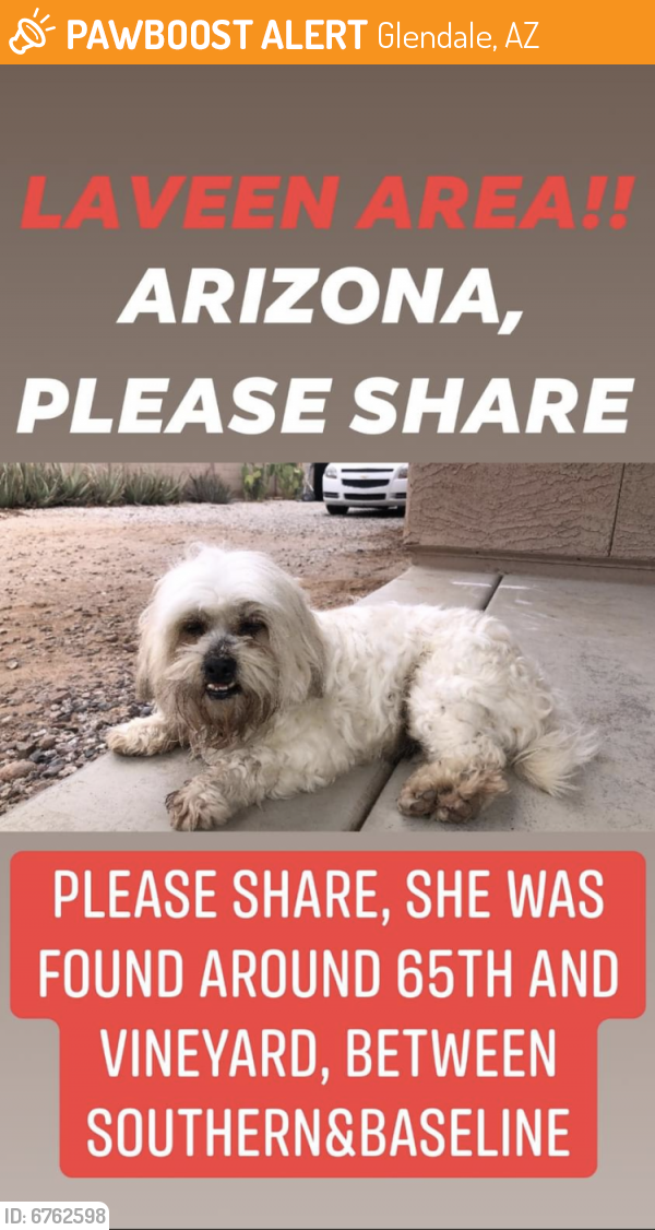Found/Stray Male Dog last seen 67th Ave & Southern , Glendale, AZ 85301