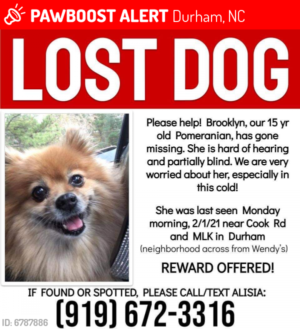 Lost Female Dog last seen Cook rd near mlk, Durham, NC 27713