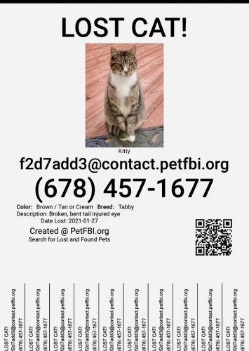 Lost Unknown Cat last seen Cooper and Loganville Hwy, Grayson, GA 30017