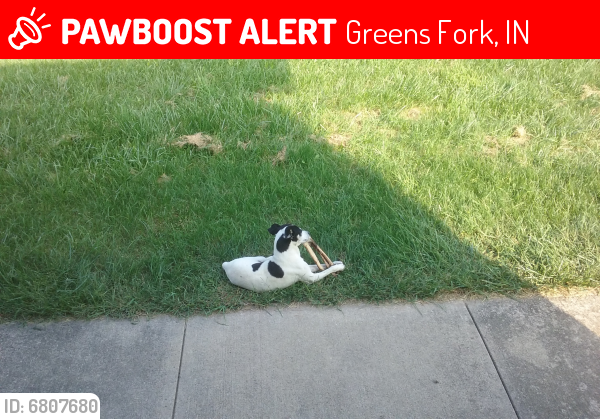 Lost Male Dog last seen Bond road and foland road, Greens Fork, IN 47345
