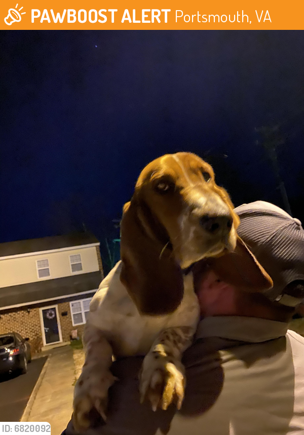 Found/Stray Male Dog last seen Deep creek area , Portsmouth, VA 23702