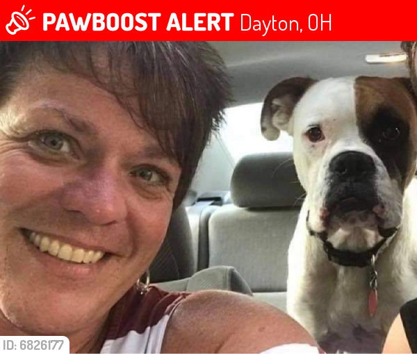 Lost Male Dog last seen Forest Ridge off Corkwood, Dayton, OH 45424