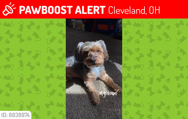 Lost Male Dog last seen East 55th Street, Cleveland, OH 44127