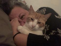 Reunited Male Cat last seen Granbury Rd & Biddison, Fort Worth, TX 76109