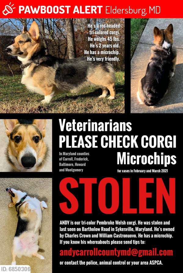Lost Male Dog last seen Bartholow Road, Sykesville, Maryland, Eldersburg, MD 21784
