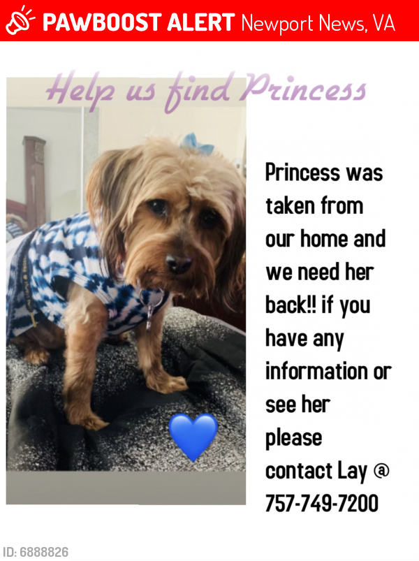 Lost Female Dog last seen Downtown Newport News , Newport News, VA 23607