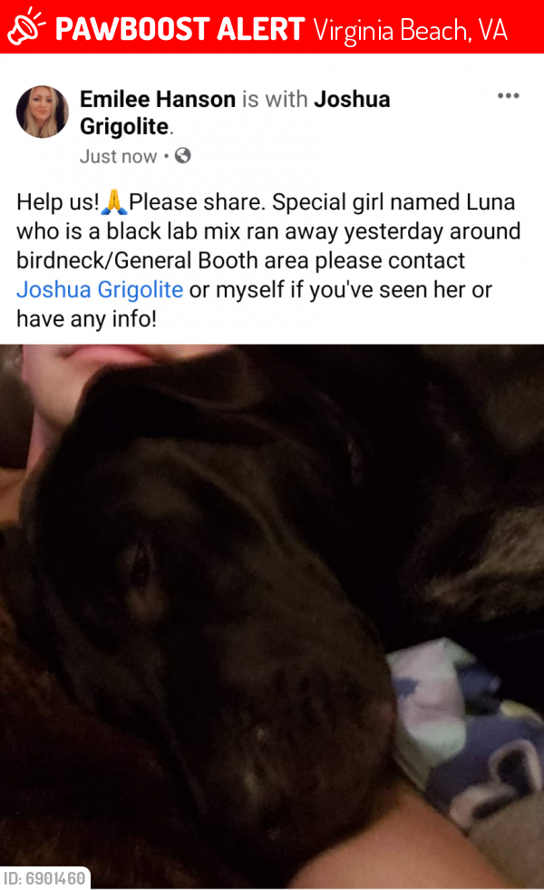 Lost Unknown Dog last seen Birdneck and General Booth Blvd, Virginia Beach, VA 23451