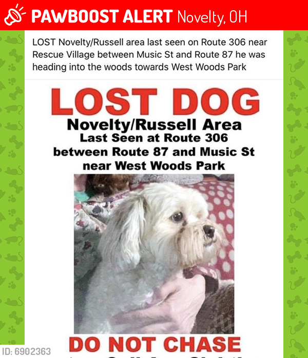 Lost Male Dog last seen Chillicothe(306) and 87 close to rescue village , Novelty, OH 44072