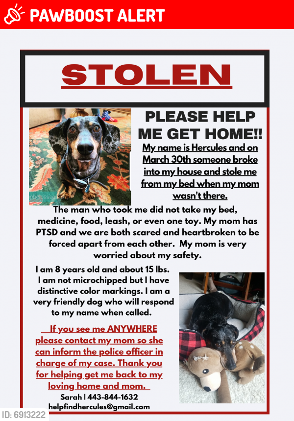 Lost Male Dog last seen St Stephen's Church Road, Gambrills MD 21054, Anne Arundel County, MD 21032