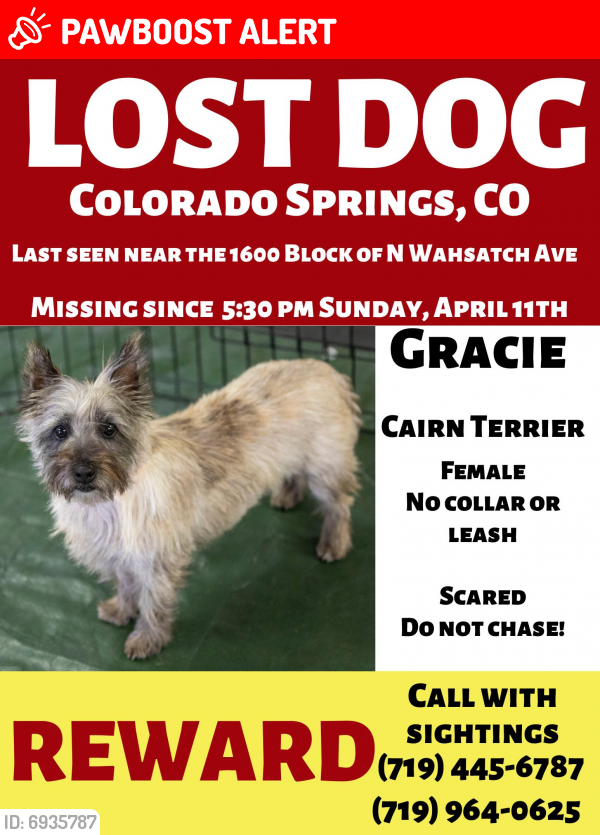 Lost Female Dog last seen N Wahsatch Ave, Colorado Springs, CO 80903