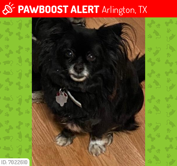 Lost Female Dog last seen Parkrow  in Arlington Tx, Arlington, TX 76010