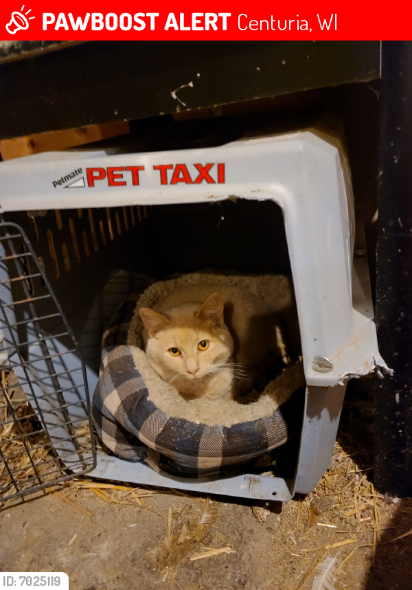 Lost Male Dog in Centuria, WI 54824 Named Sheer Kahn (ID 7025119