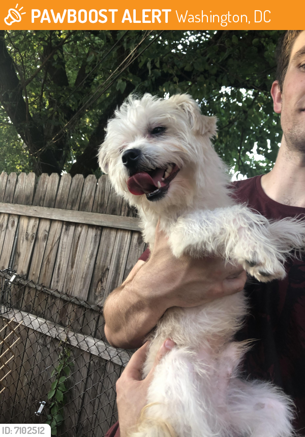 Rehomed Unknown Dog last seen 15th and G NE, Washington, DC 20002