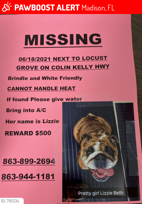 Lost Female Dog last seen Near Locust Grove , Madison, FL 32340