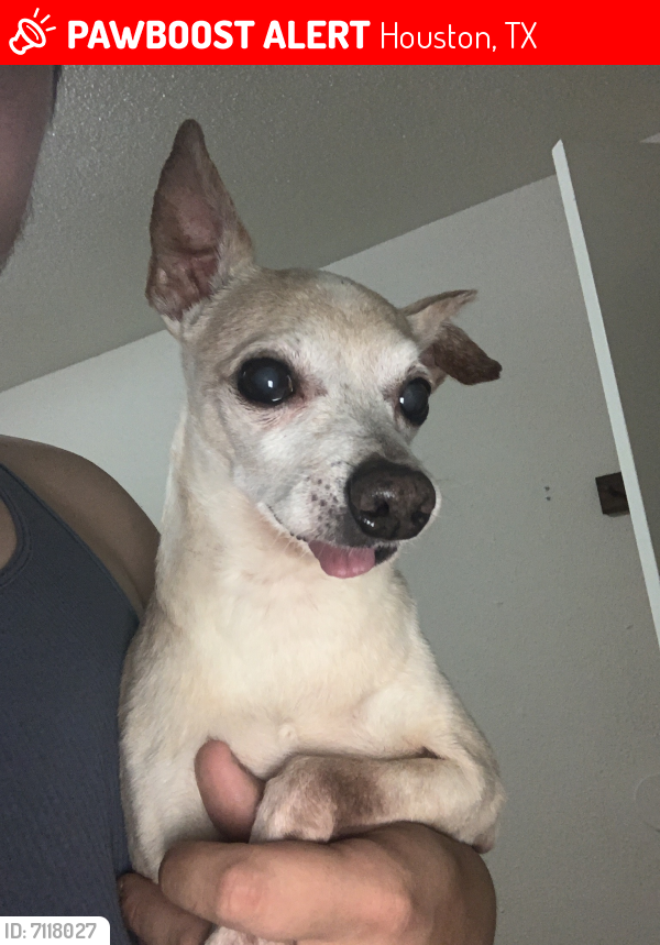 Lost Male Dog last seen Near w carby rd, Houston, TX 77076