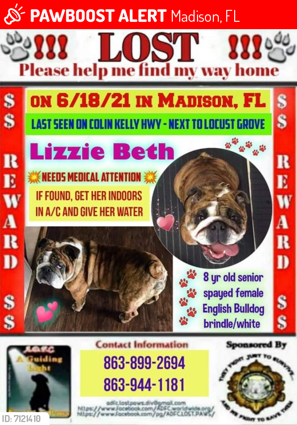 Lost Female Dog last seen NE Colin Kelly Hwy next to Locust Grove, Madison, FL 32340