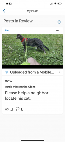 Lost Male Cat last seen Stefaniga Farms and Wake Robin, Stafford County, VA 22556