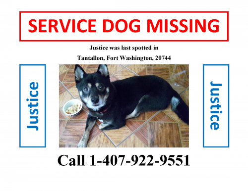 Lost Unknown Dog last seen Near St Andrews Dr, Fort Washington, MD 20744, Fort Washington, MD 20744