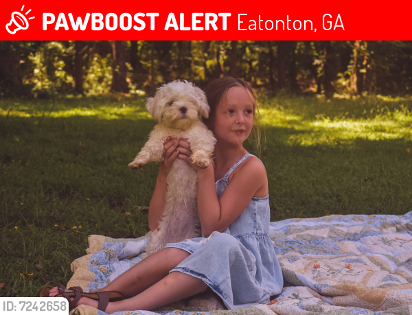 Lost Female Dog last seen Near Reids Road, Eatonton, GA, USA, Eatonton, GA 31024