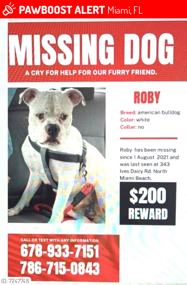 Deceased Male Dog last seen North Miami, FL, USA, Miami, FL 33179