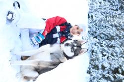 Lost Male Dog last seen Yakima ave, Tacoma, WA 98444