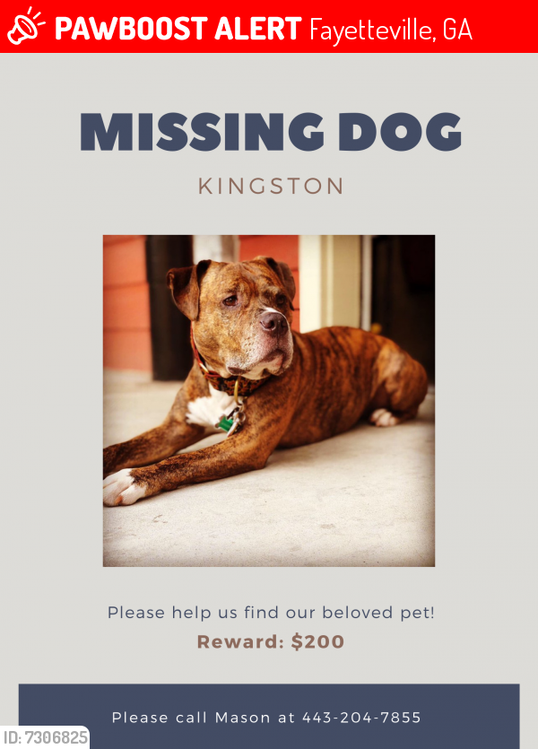 Lost Male Dog last seen Near Highway 92 N Fayetteville, GA , Fayetteville, GA 30214