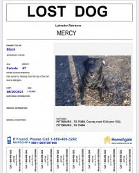 Lost Female Dog last seen CR 1332 and CR 1334, Camp County, TX 75686