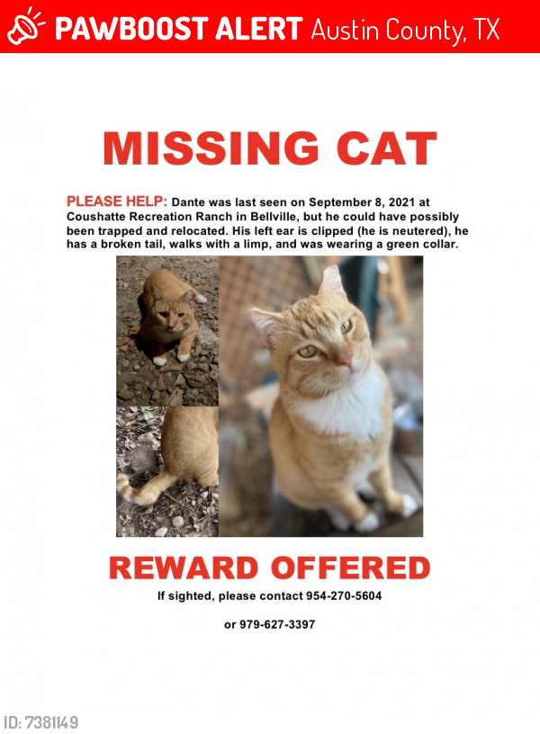 Lost Male Cat last seen Coushatte Recreation Ranch, Austin County, TX 77418