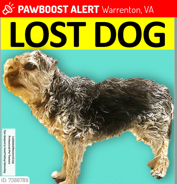 Lost Female Dog last seen Viewtree Dr., Warrenton, VA 20186